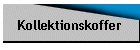 Kollektionskoffer